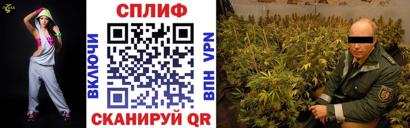 Купить закладки Макушино Канабис семена